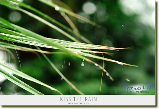 细心品味雨的心情——钢琴曲推荐 Kiss The Rain 《雨的印记》