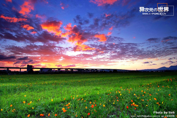 Tieh华丽的摄影作品照片欣赏 [多图]