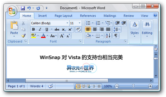 WinSnap 完美支持Vista、圆角窗口并能添加阴影、水印的小巧截图工具