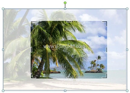 Publisher 2010 Picture Editing screenshot