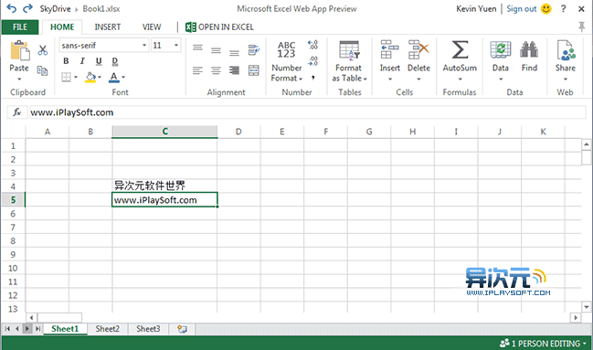 Excel 2013 网页版