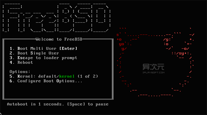 Freebsd примонтировать диск linux