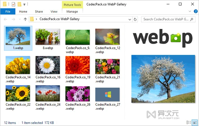 WebP Codec for Windows 解码插件
