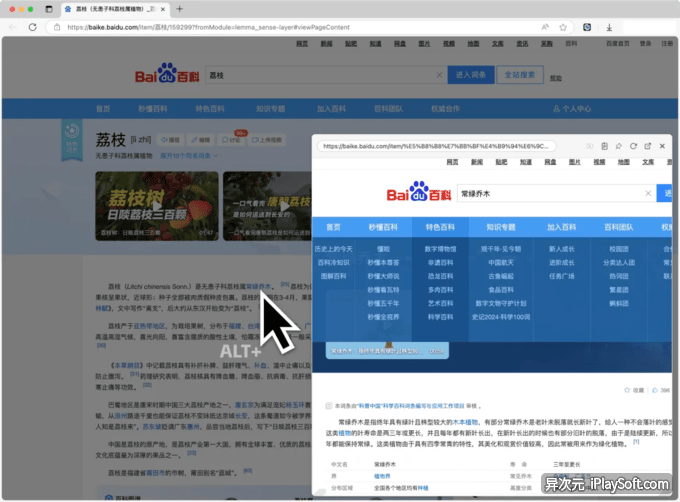Notab 浏览器插件